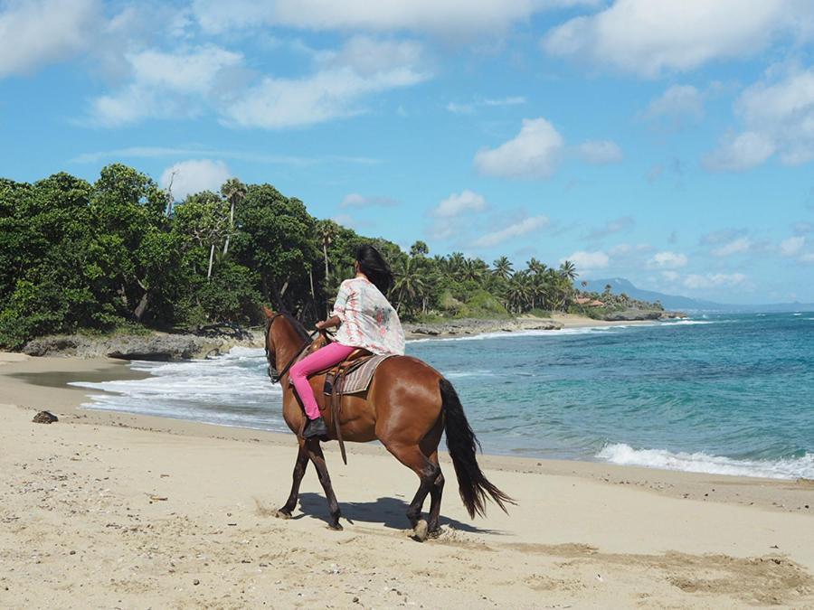 Sea Horse Ranch Villa La Mulata ภายนอก รูปภาพ